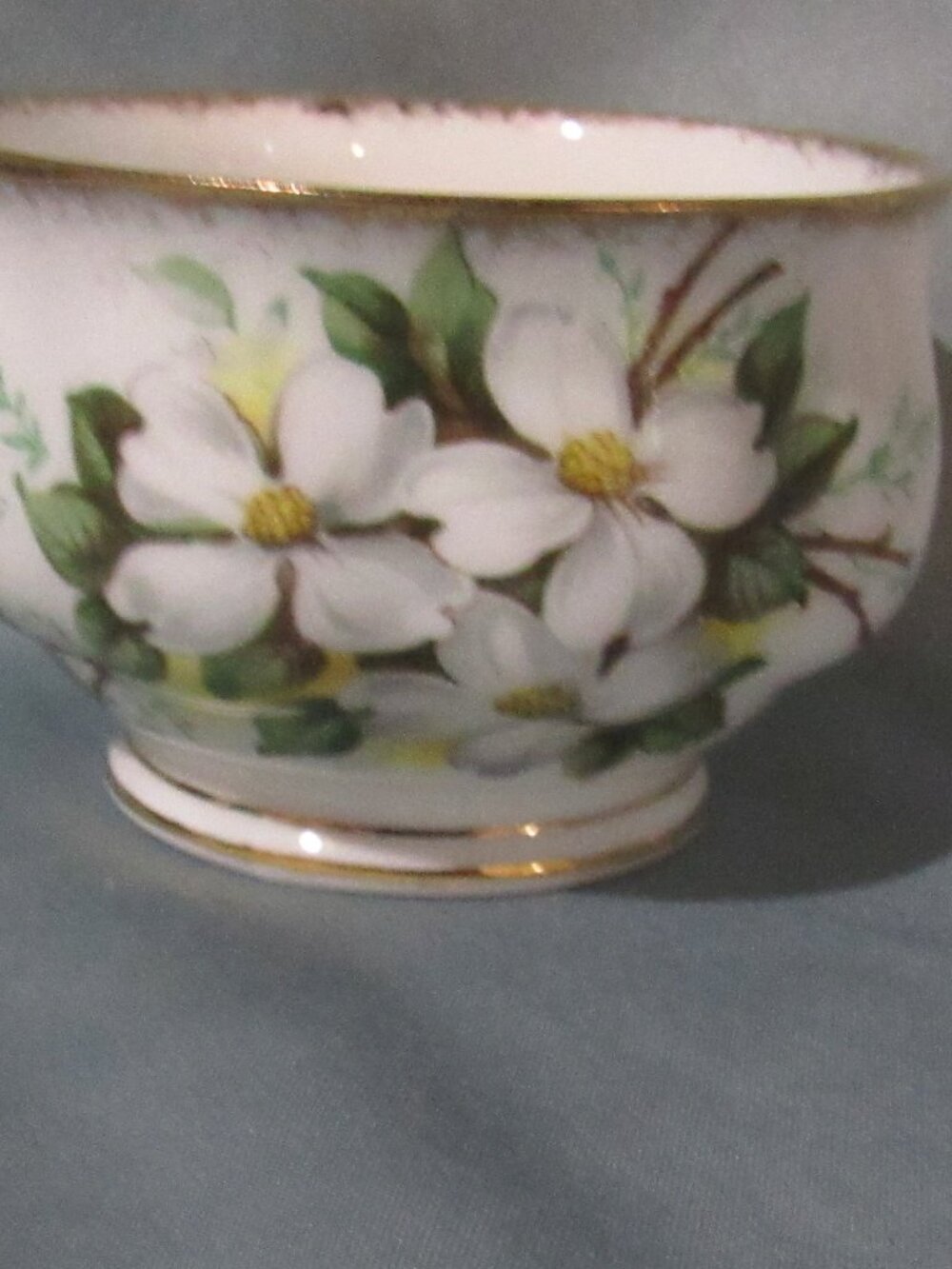 Royal Albert White Dogwood Open Sugar Bowl, Brushed Gold Gilt Trim, Y392